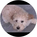 dhes8123 profile picture