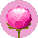 Natalie profile picture