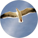 Natalie Driver profile picture