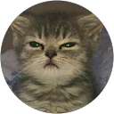 Diana honey profile picture